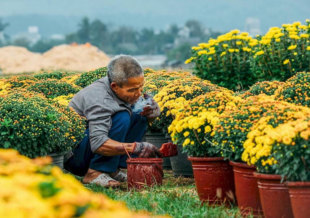 Du khách có cơ hội trò chuyện cùng nông dân và các nghệ nhân để tìm hiểu tỉ mỉ quy trình chăm sóc hoa